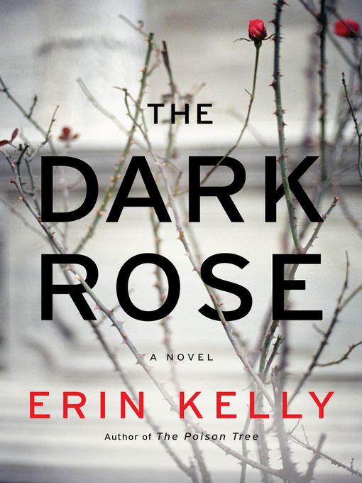 Title details for The Dark Rose by Erin Kelly - Wait list